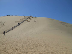 Dune di Pilat